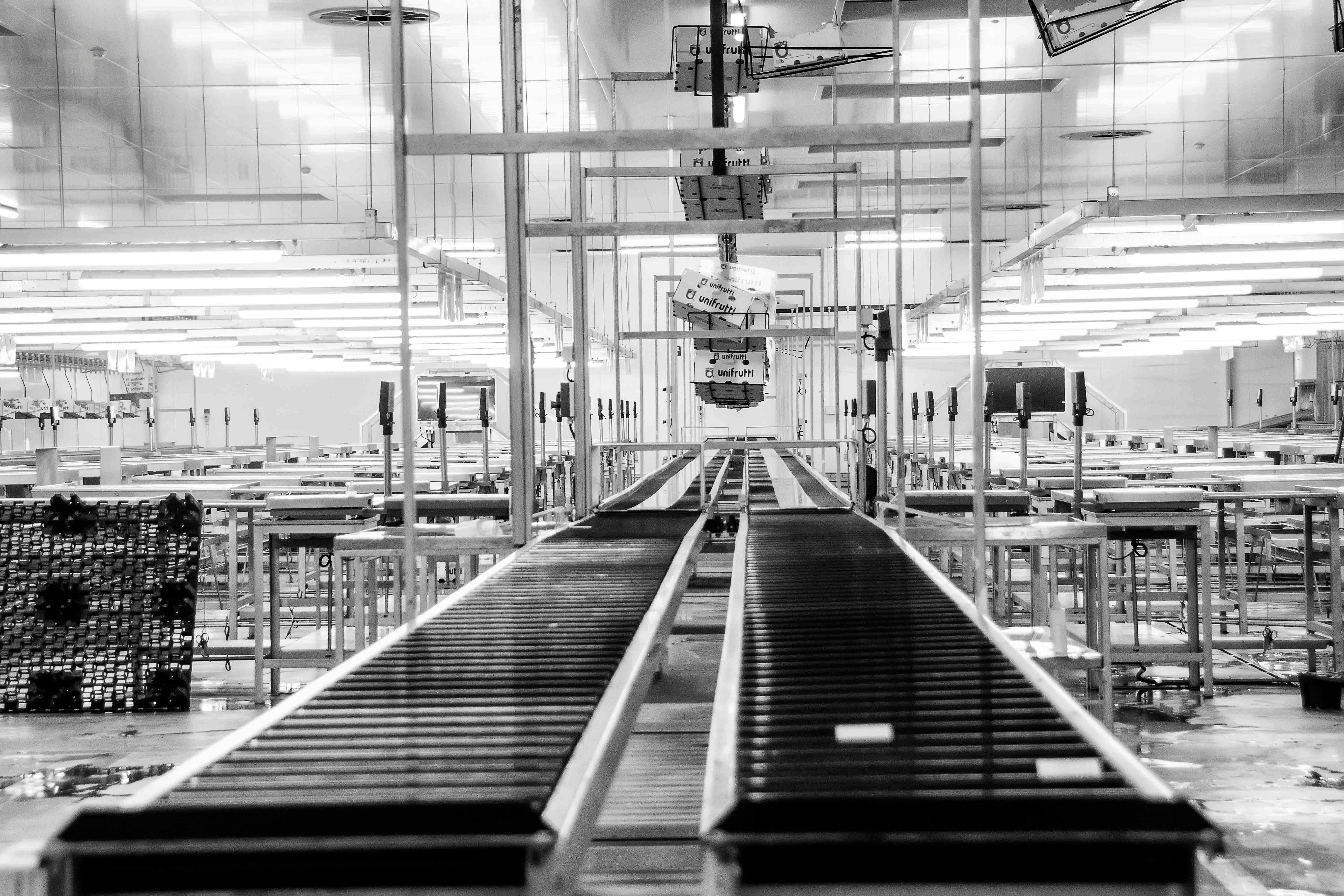 Conveyor guards and safety structures
